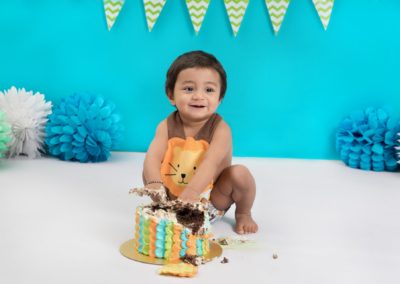 Cake Smash Photoshoot Cake Smash Photography Cake Smash Shoot Cake Smash Shoot Cake Smash Photos Cake Smash Pics 34